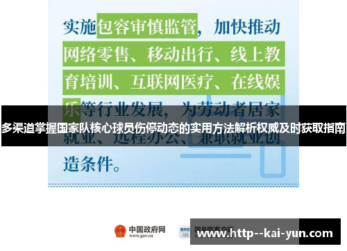 多渠道掌握国家队核心球员伤停动态的实用方法解析权威及时获取指南